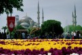 z-diaporama patrick_b mosquee bleue tele_tn 